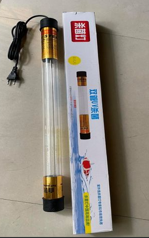 Ảnh 4