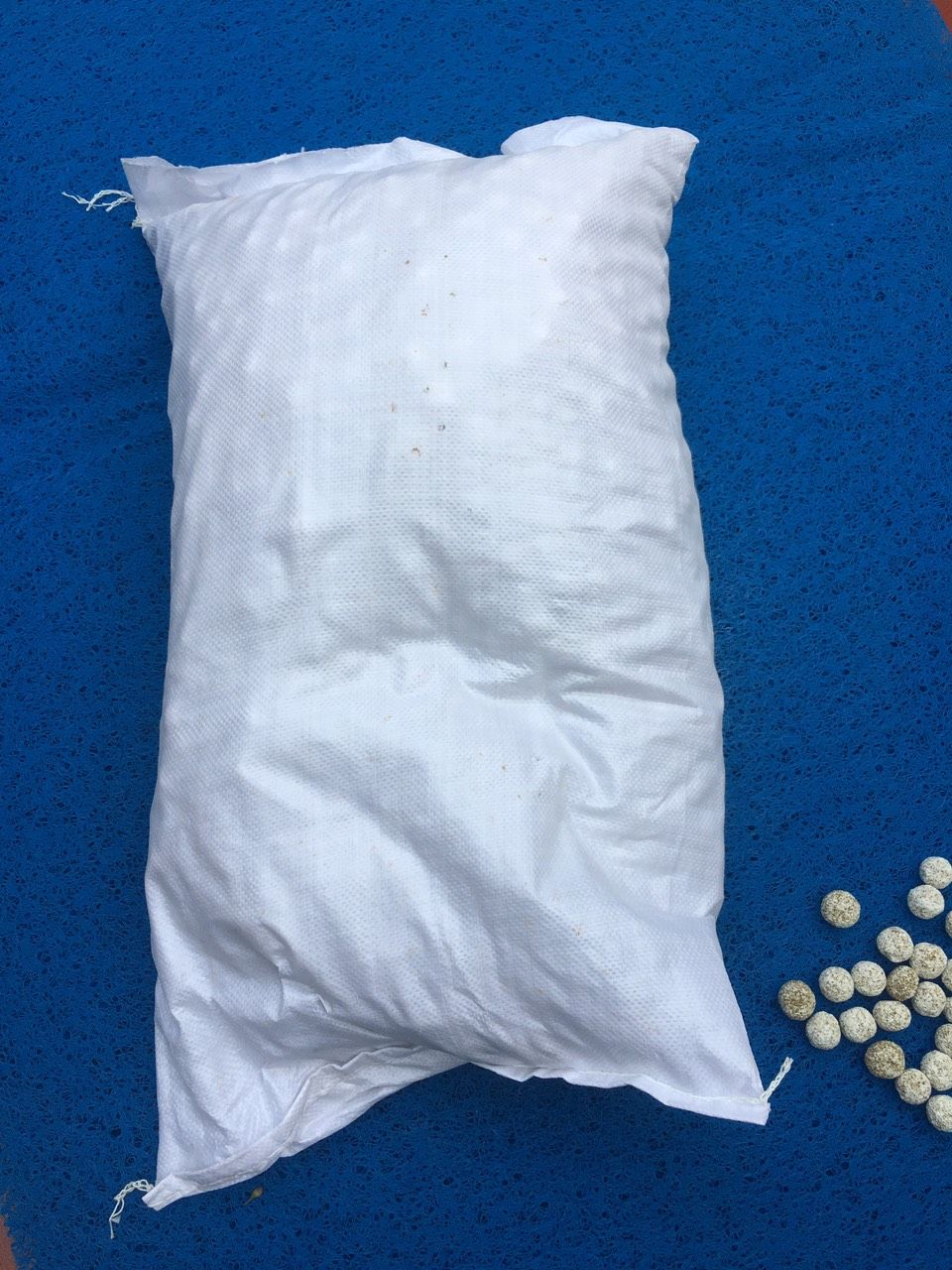 Ảnh 2