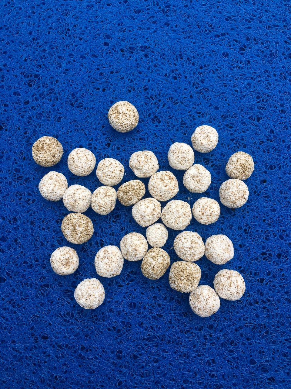 Ảnh 4