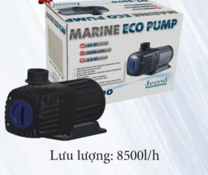 Ảnh 4