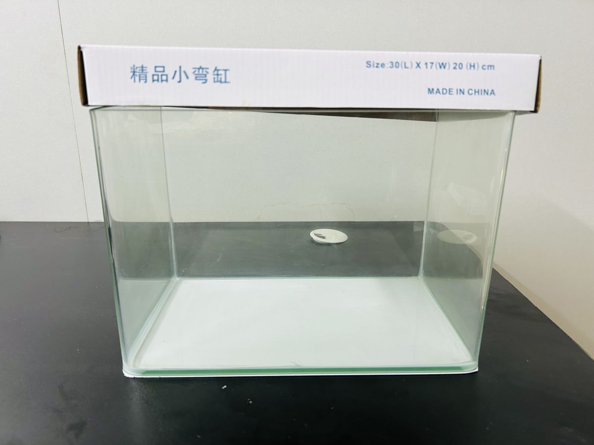Ảnh 3