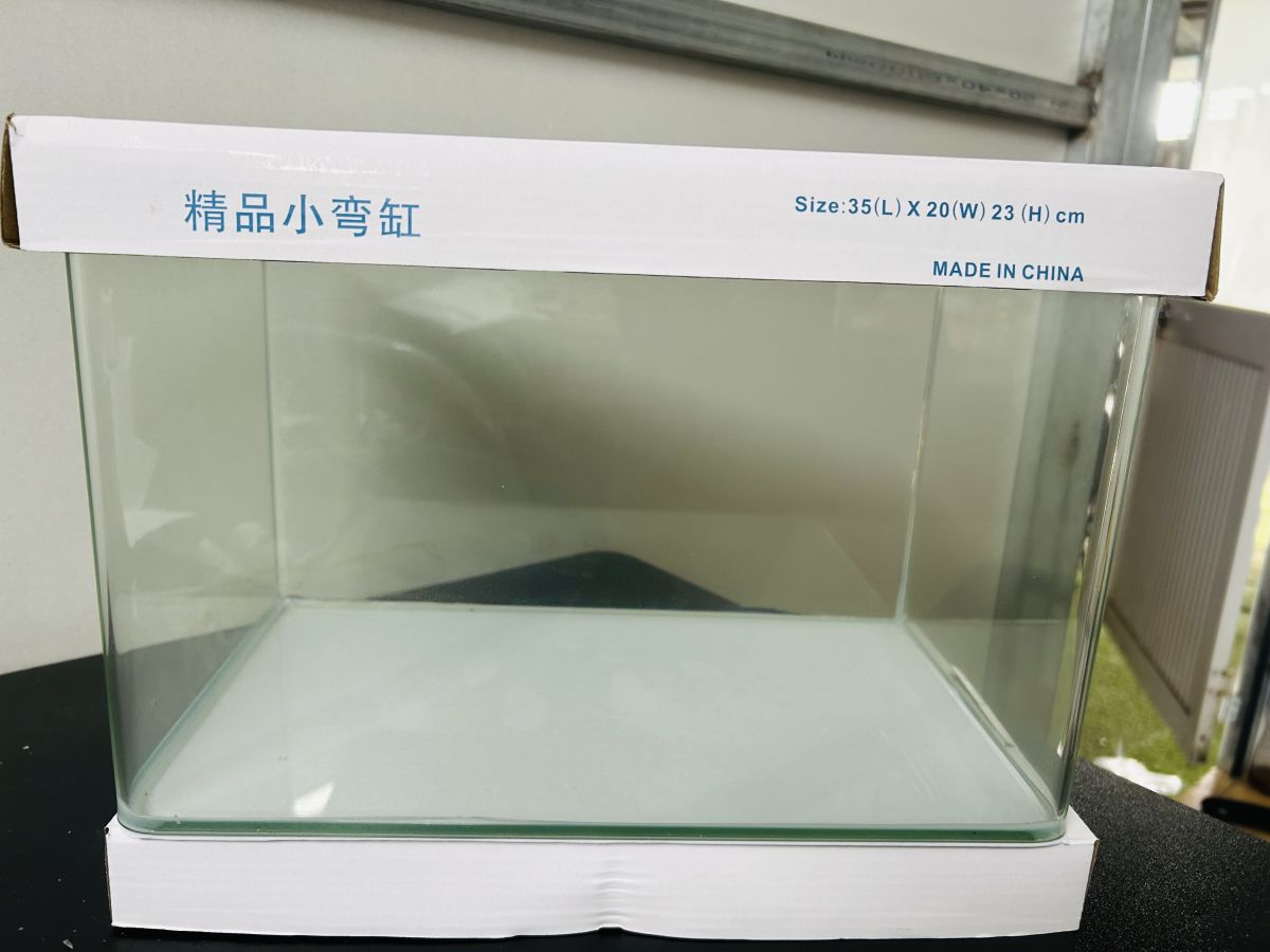 Ảnh 2