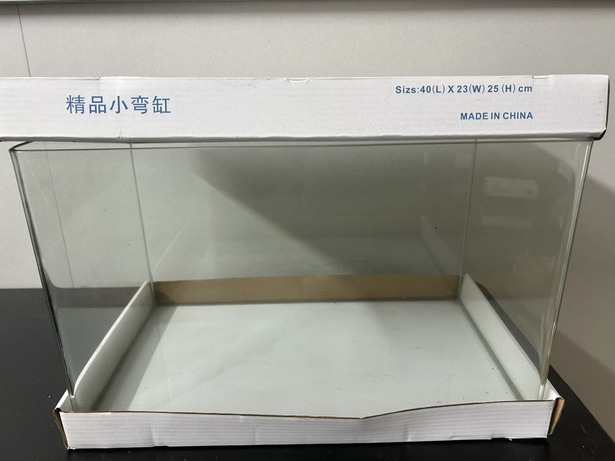 Ảnh 6