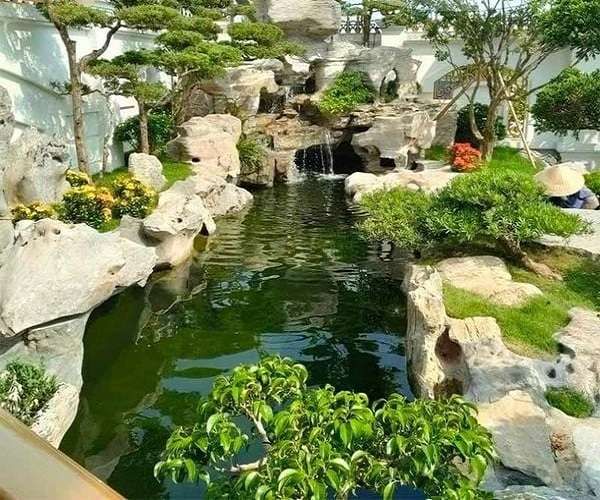 Nước hồ bị xanh - Tìm đúng nguyên nhân trước khi đổ thuốc