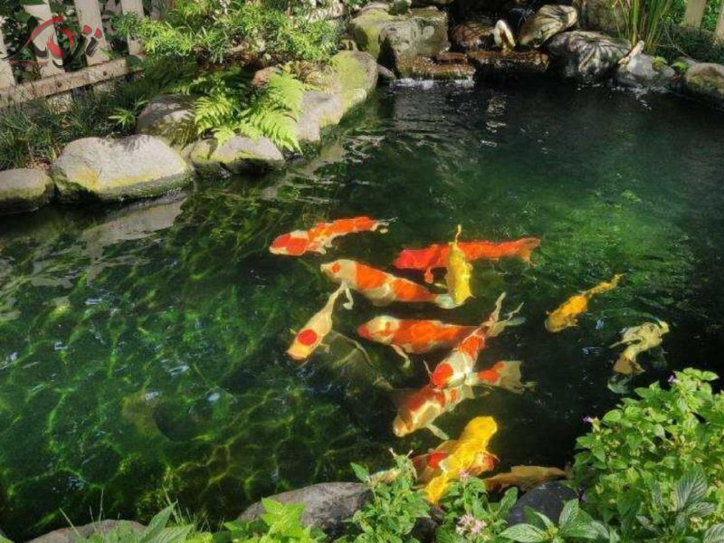 Nước có mùi hôi - Dấu hiệu nhận biết hệ lọc đang yếu