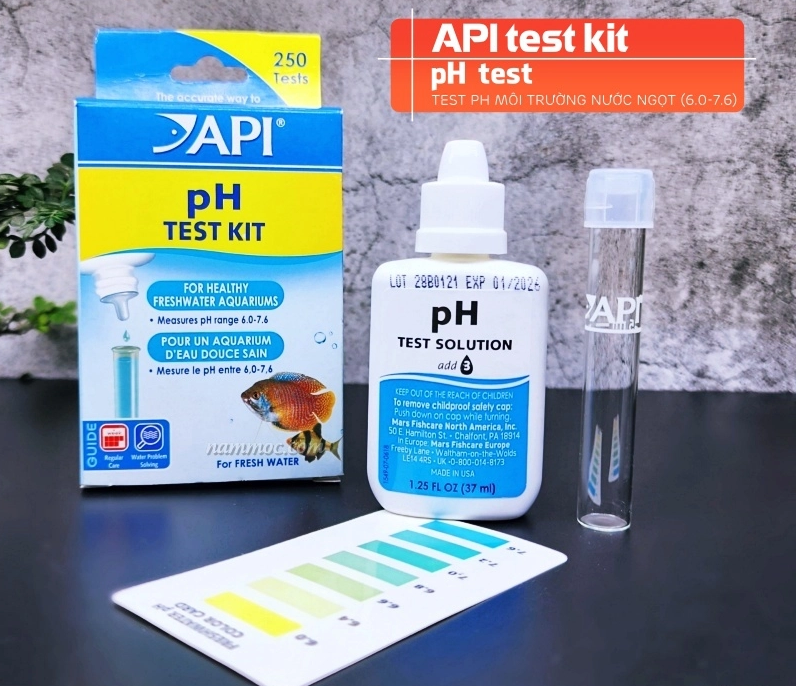 Cách đo amoniac, nitrit, pH bằng bộ test và đọc kết quả